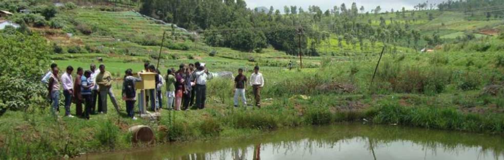 Department of Agronomy