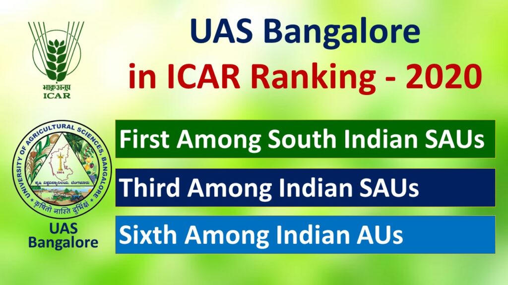 Rankings / Accreditations